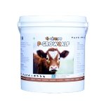 Calf Growth