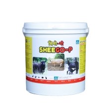 SHEEGO-P
