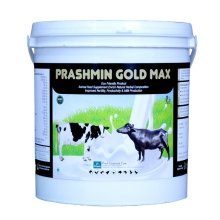 PRASHMIN GOLD MAX